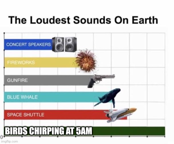 The Loudest Sounds on Earth | BIRDS CHIRPING AT 5AM | image tagged in the loudest sounds on earth | made w/ Imgflip meme maker