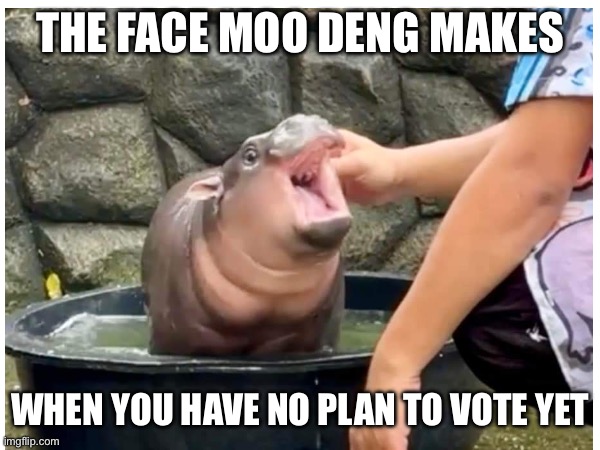 Moo Deng #GetOutTheVote | THE FACE MOO DENG MAKES; WHEN YOU HAVE NO PLAN TO VOTE YET | made w/ Imgflip meme maker