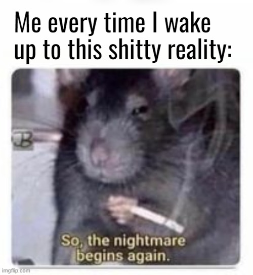 Ever had a really good dream that made you depressed when you wake up because it wasn't real? | Me every time I wake up to this shitty reality: | made w/ Imgflip meme maker