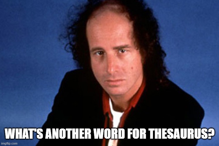 Thesaurus | WHAT'S ANOTHER WORD FOR THESAURUS? | image tagged in humour | made w/ Imgflip meme maker