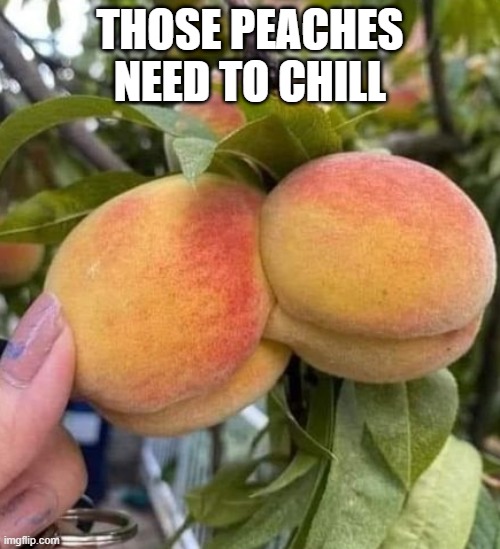 Peachy | THOSE PEACHES NEED TO CHILL | image tagged in sex jokes | made w/ Imgflip meme maker