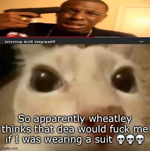 Yakko consumes your flerovium | So apparently wheatley thinks that dea would fuck me if I was wearing a suit 💀💀💀 | image tagged in yakko consumes your flerovium | made w/ Imgflip meme maker