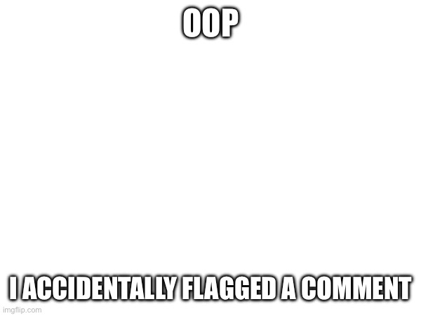 Mb mods | OOP; I ACCIDENTALLY FLAGGED A COMMENT | made w/ Imgflip meme maker