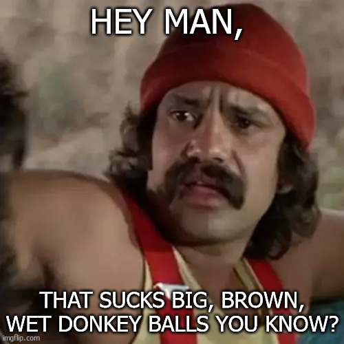 That sucks | HEY MAN, THAT SUCKS BIG, BROWN, WET DONKEY BALLS YOU KNOW? | image tagged in cheech and chong | made w/ Imgflip meme maker