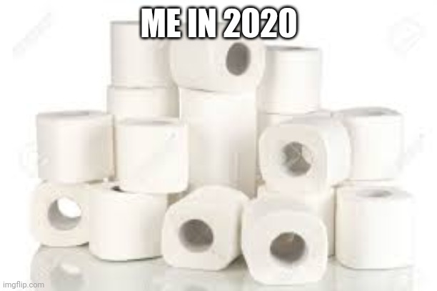 Me in 2020 | ME IN 2020 | image tagged in rolls of toliet paper | made w/ Imgflip meme maker