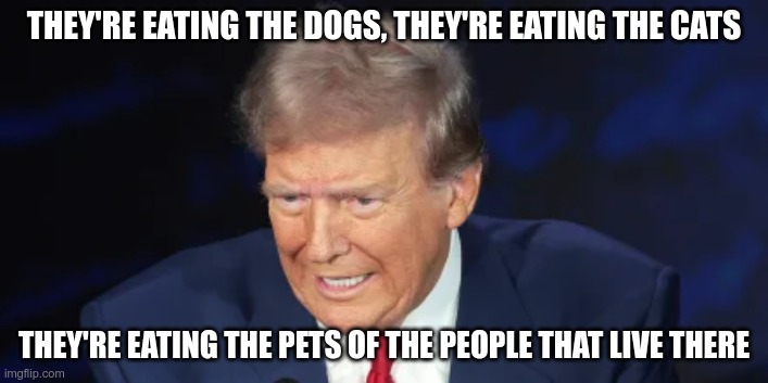 What a fool believes | THEY'RE EATING THE DOGS, THEY'RE EATING THE CATS; THEY'RE EATING THE PETS OF THE PEOPLE THAT LIVE THERE | image tagged in trump,moron,republicans,idiots,dogs,cats | made w/ Imgflip meme maker