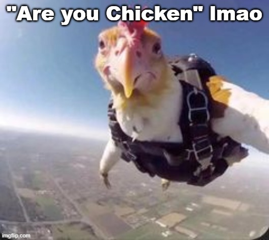 "Are you Chicken" lmao | made w/ Imgflip meme maker