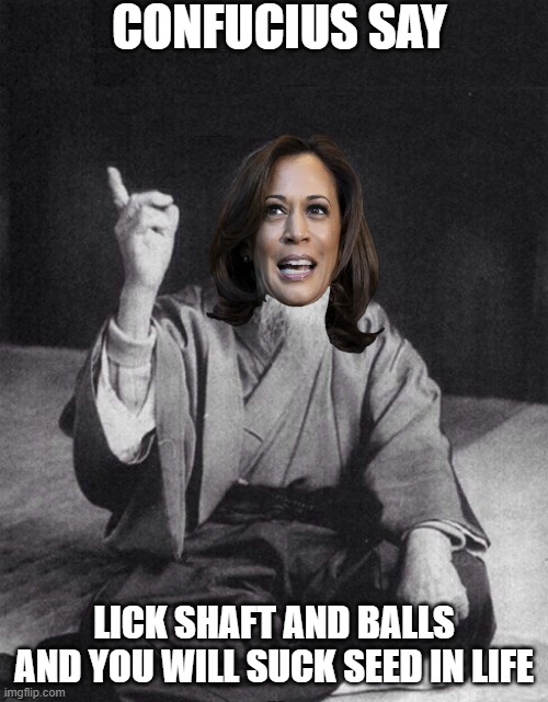 LOL!!! | CONFUCIUS SAY; LICK SHAFT AND BALLS AND YOU WILL SUCK SEED IN LIFE | image tagged in wise old chinese man,kamala harris,democrats,california,communism | made w/ Imgflip meme maker