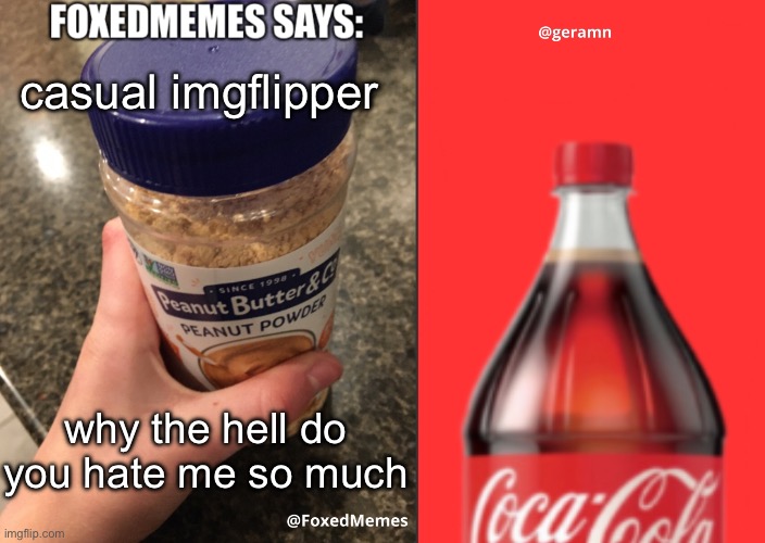 FoxedMemes and geramn template | casual imgflipper; why the hell do you hate me so much | image tagged in foxedmemes and geramn template | made w/ Imgflip meme maker