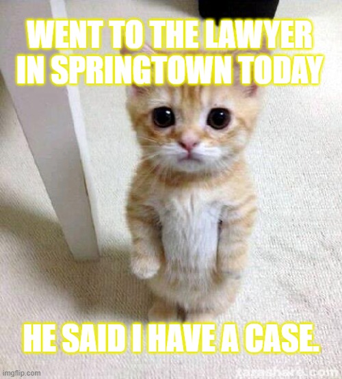 Cats for Trump | WENT TO THE LAWYER IN SPRINGTOWN TODAY; HE SAID I HAVE A CASE. | image tagged in memes,cute cat | made w/ Imgflip meme maker