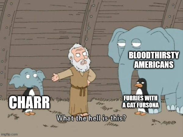 What the hell is this? | BLOODTHIRSTY AMERICANS; FURRIES WITH A CAT FURSONA; CHARR | image tagged in what the hell is this,america,furries,guild wars 2 | made w/ Imgflip meme maker