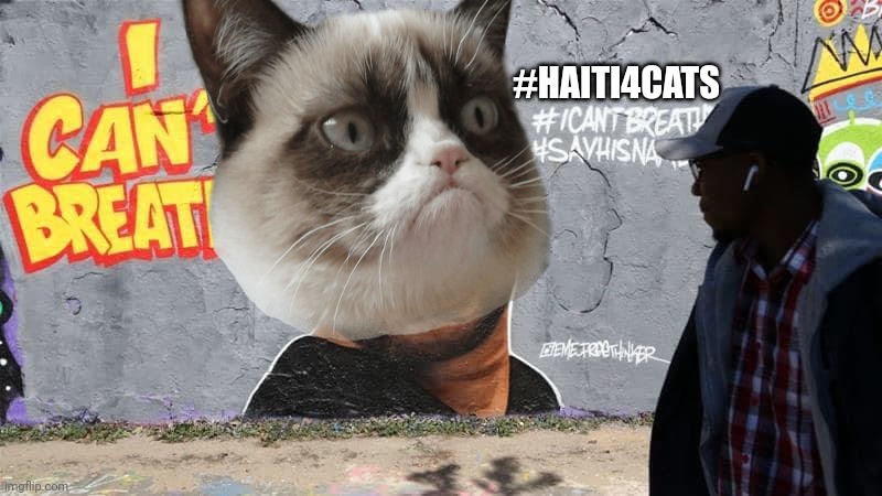 George Floyd | #HAITI4CATS | image tagged in george floyd | made w/ Imgflip meme maker