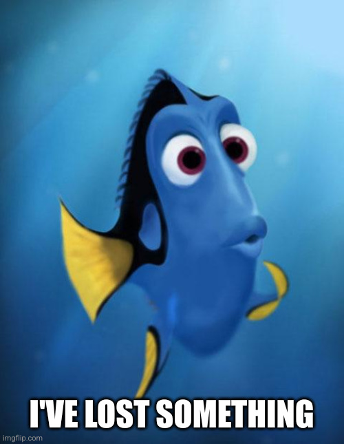 Dory | I'VE LOST SOMETHING | image tagged in dory | made w/ Imgflip meme maker