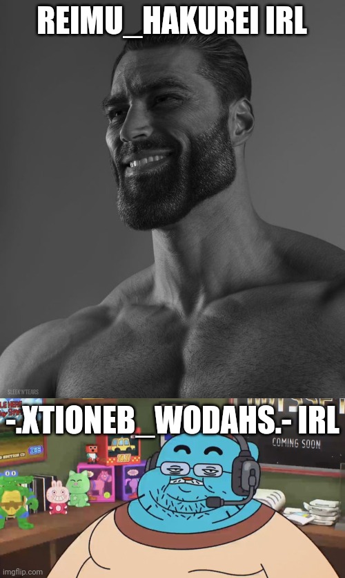 REIMU_HAKUREI IRL -.XTIONEB_WODAHS.- IRL | image tagged in giga chad,discord moderator | made w/ Imgflip meme maker