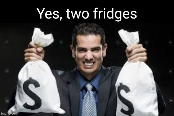 Profit Man | Yes, two fridges | image tagged in profit man | made w/ Imgflip meme maker