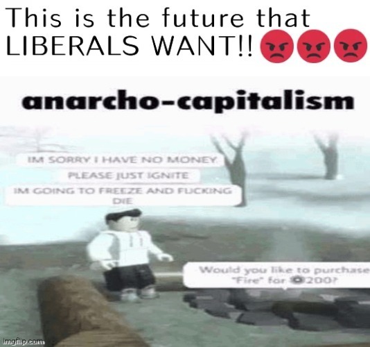 new temp | image tagged in this is the future that liberals want | made w/ Imgflip meme maker