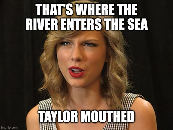 Taylor Swiftie | THAT'S WHERE THE RIVER ENTERS THE SEA TAYLOR MOUTHED | image tagged in taylor swiftie | made w/ Imgflip meme maker