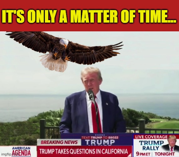 ⁦Tuesday, November 5, 2024⁩ | IT'S ONLY A MATTER OF TIME... | image tagged in donald trump memes,donald trump the clown,donald trump is an idiot,political humor | made w/ Imgflip meme maker
