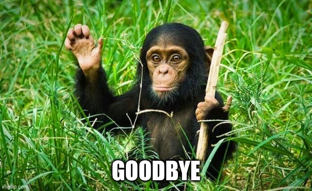 goodbye | GOODBYE | image tagged in goodbye | made w/ Imgflip meme maker