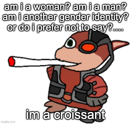 grox with a fat blunt | am i a woman? am i a man? am i another gender identity? or do i prefer not to say?.... im a croissant | image tagged in grox with a fat blunt | made w/ Imgflip meme maker