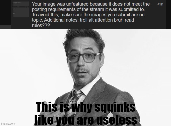 This is why squinks like you are useless | image tagged in robert downey jr's comments | made w/ Imgflip meme maker