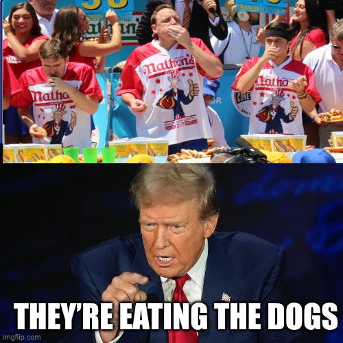 They’re eating the dogs | THEY’RE EATING THE DOGS | image tagged in donald trump,dogs,hotdogs | made w/ Imgflip meme maker