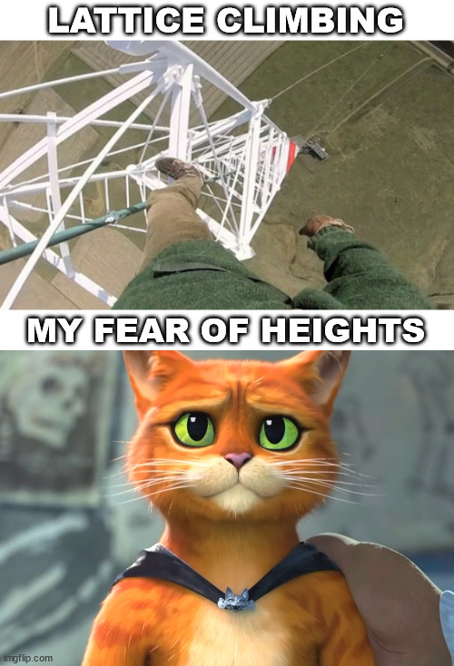 Puss in Boots Meme | LATTICE CLIMBING; MY FEAR OF HEIGHTS | image tagged in climbing,lattice climbing,puss in boots,gato,kitty,freesolo | made w/ Imgflip meme maker