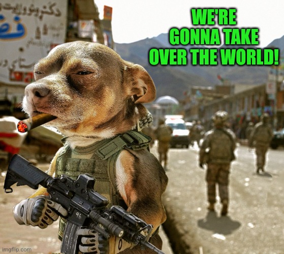 chihuahua military | WE'RE GONNA TAKE OVER THE WORLD! | image tagged in chihuahua military | made w/ Imgflip meme maker