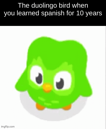 Happy Duolingo Bird - Imgflip