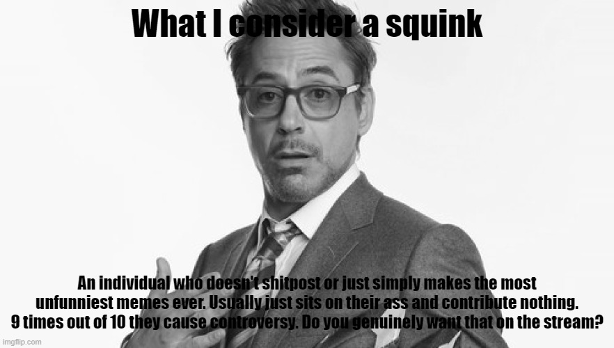 What I consider a squink; An individual who doesn't shitpost or just simply makes the most unfunniest memes ever. Usually just sits on their ass and contribute nothing. 9 times out of 10 they cause controversy. Do you genuinely want that on the stream? | made w/ Imgflip meme maker