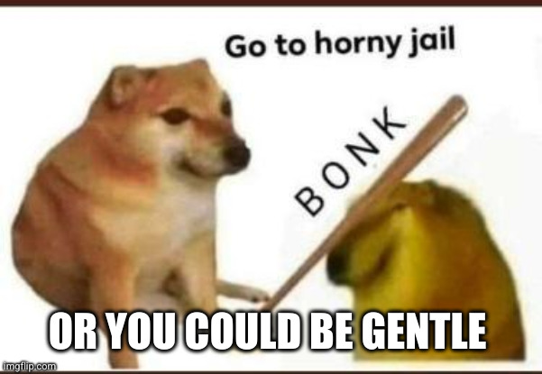 Go to horny jail | OR YOU COULD BE GENTLE | image tagged in go to horny jail | made w/ Imgflip meme maker