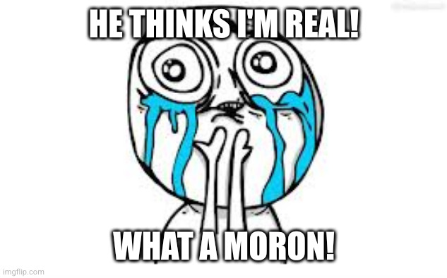 Crying Because Of Cute | HE THINKS I'M REAL! WHAT A MORON! | image tagged in memes,crying because of cute | made w/ Imgflip meme maker