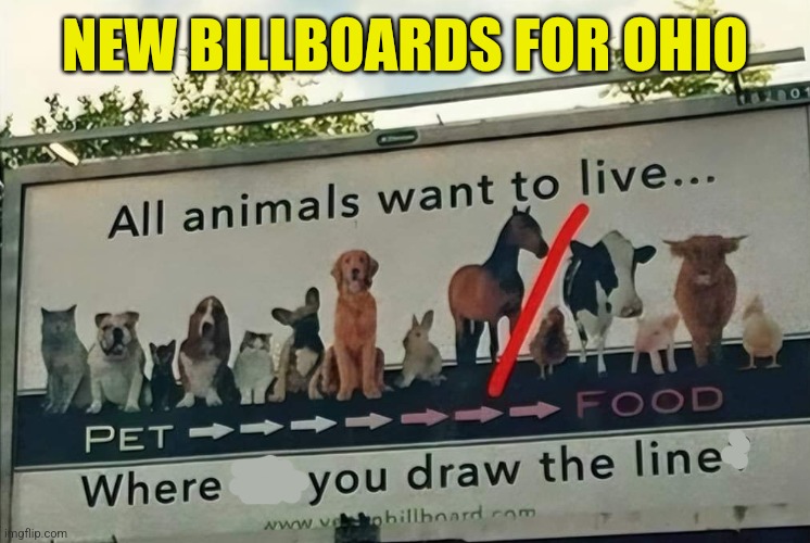 Instructions for new residents | NEW BILLBOARDS FOR OHIO | image tagged in ohio,haitians,eating,pets,illegal immigration | made w/ Imgflip meme maker