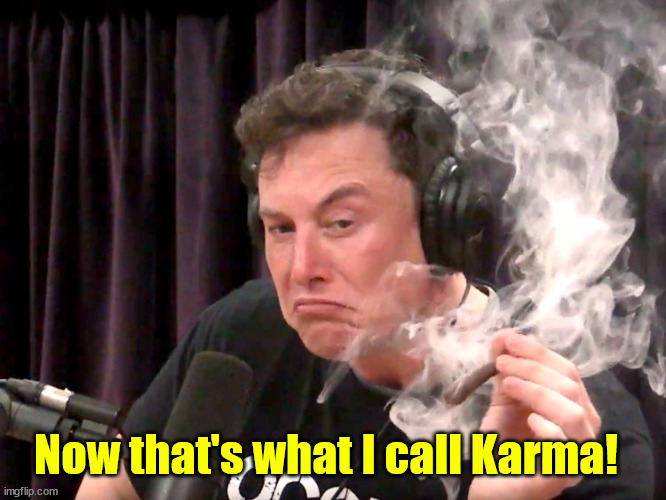 Elon Musk Weed | Now that's what I call Karma! | image tagged in elon musk weed | made w/ Imgflip meme maker