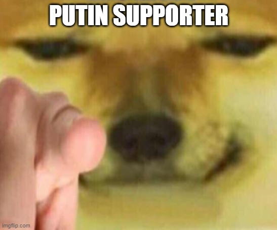 Cheems Pointing At You | PUTIN SUPPORTER | image tagged in cheems pointing at you | made w/ Imgflip meme maker