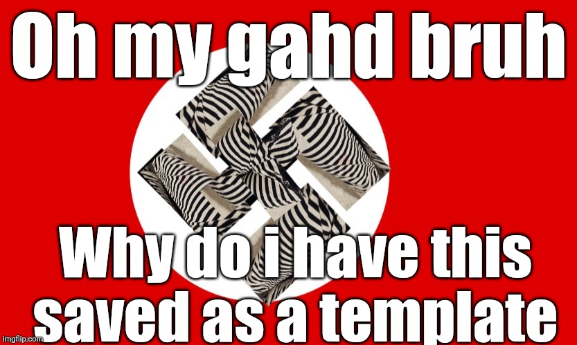 What the fuck is this | Oh my gahd bruh; Why do i have this saved as a template | image tagged in ayden nazi flag | made w/ Imgflip meme maker