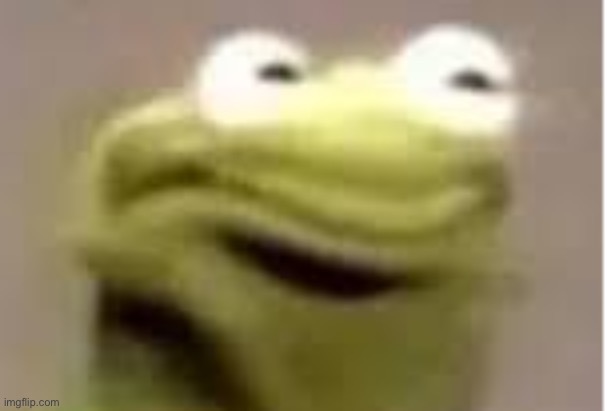 Kermit Cringe Meme | image tagged in kermit cringe meme | made w/ Imgflip meme maker