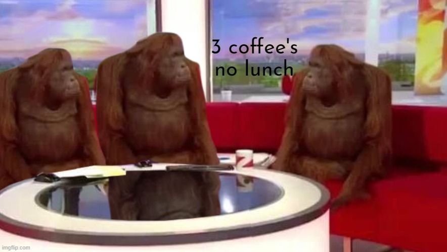 where monkey | 3 coffee's no lunch | image tagged in where monkey | made w/ Imgflip meme maker