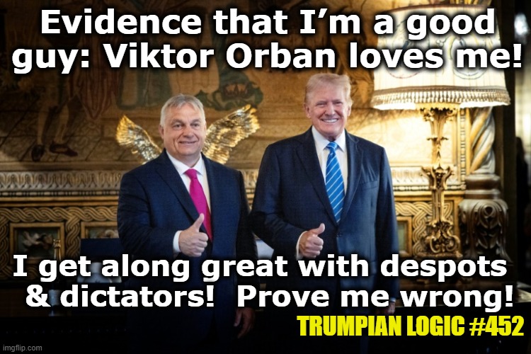 tRump the Dictator Lover | Evidence that I’m a good guy: Viktor Orban loves me! I get along great with despots   & dictators!  Prove me wrong! TRUMPIAN LOGIC #452 | image tagged in donald trump memes,nevertrump meme,deplorable donald,maga,gop,fascism | made w/ Imgflip meme maker