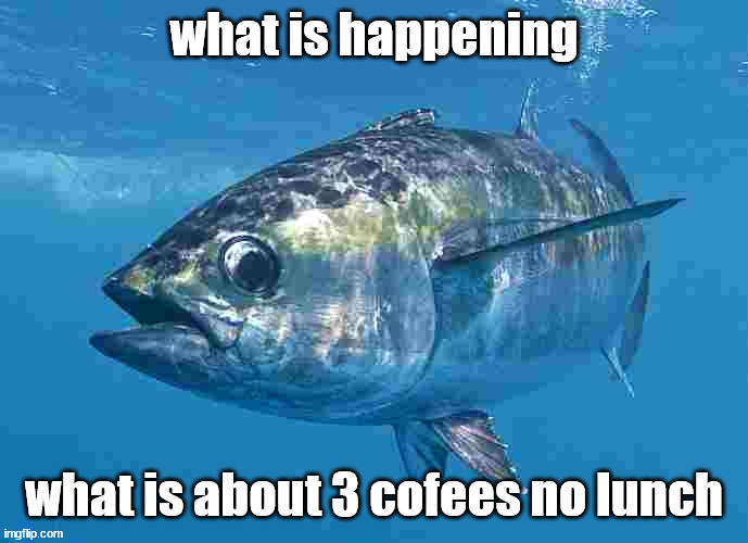 Tuma fibsh | what is happening; what is about 3 cofees no lunch | image tagged in tuma fibsh | made w/ Imgflip meme maker