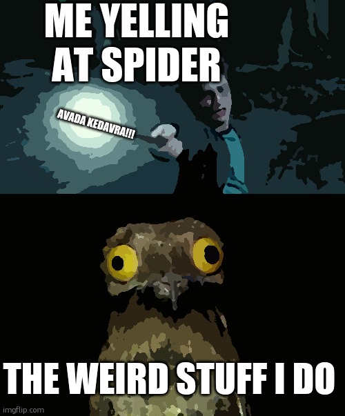 die spider die! | ME YELLING 



AT SPIDER; AVADA KEDAVRA!!! THE WEIRD STUFF I DO | image tagged in expecto patronum harry potter,memes,weird stuff i do potoo,harry potter | made w/ Imgflip meme maker