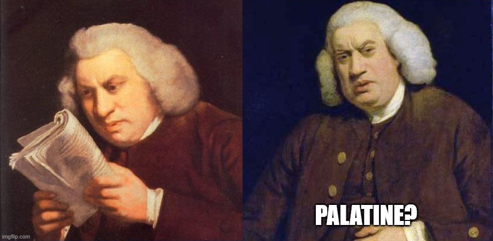 what did i just read | PALATINE? | image tagged in what did i just read | made w/ Imgflip meme maker