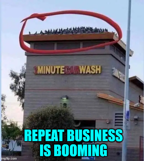 Repeat business is booming | REPEAT BUSINESS IS BOOMING | image tagged in repost,car wash,repeat business,booming | made w/ Imgflip meme maker