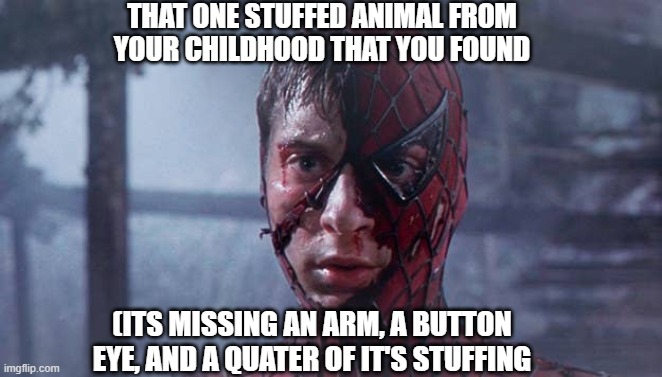 Spiderman mask ripped | THAT ONE STUFFED ANIMAL FROM YOUR CHILDHOOD THAT YOU FOUND; (ITS MISSING AN ARM, A BUTTON EYE, AND A QUATER OF IT'S STUFFING | image tagged in spiderman mask ripped | made w/ Imgflip meme maker