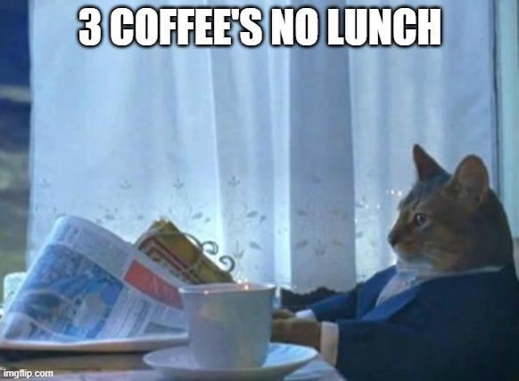 Cat newspaper | 3 COFFEE'S NO LUNCH | image tagged in cat newspaper | made w/ Imgflip meme maker
