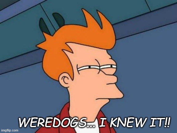 Futurama Fry Meme | WEREDOGS... I KNEW IT!! | image tagged in memes,futurama fry | made w/ Imgflip meme maker