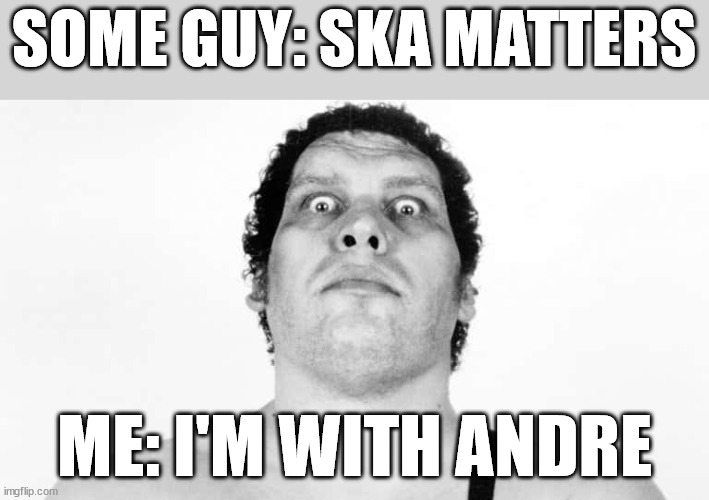 Ska Matters | SOME GUY: SKA MATTERS; ME: I'M WITH ANDRE | image tagged in andre the giant | made w/ Imgflip meme maker