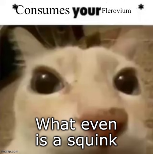 Yakko consumes your flerovium | What even is a squink | image tagged in yakko consumes your flerovium | made w/ Imgflip meme maker