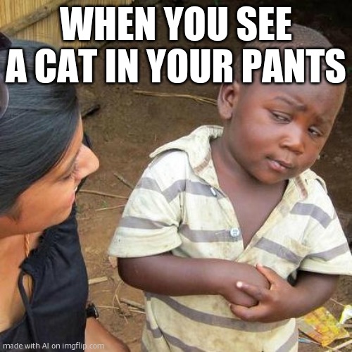 Third World Skeptical Kid Meme | WHEN YOU SEE A CAT IN YOUR PANTS | image tagged in memes,third world skeptical kid | made w/ Imgflip meme maker