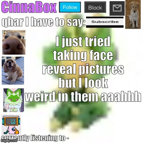 CinnaBox’s 144p Leavanny temp | I just tried taking face reveal pictures but I look weird in them aaahhh | image tagged in cinnabox s 144p leavanny temp | made w/ Imgflip meme maker